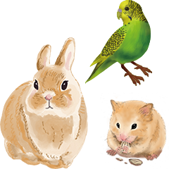 小動物