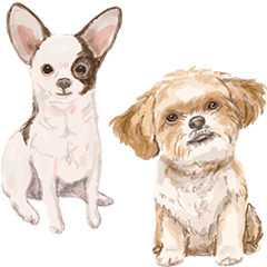 小型犬・猫