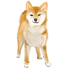 中型犬